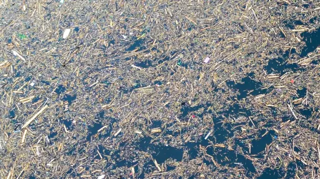 Sampah kayu gelondongan tersebut menumpuk di sepanjang jalur banjir bandang beberapa hari terakhir.