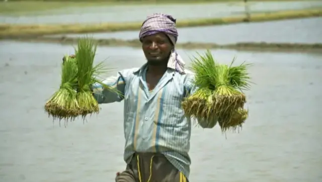 ਪੰਜਾਬ ਵਿੱਚ ਪਰਵਾਸੀ 