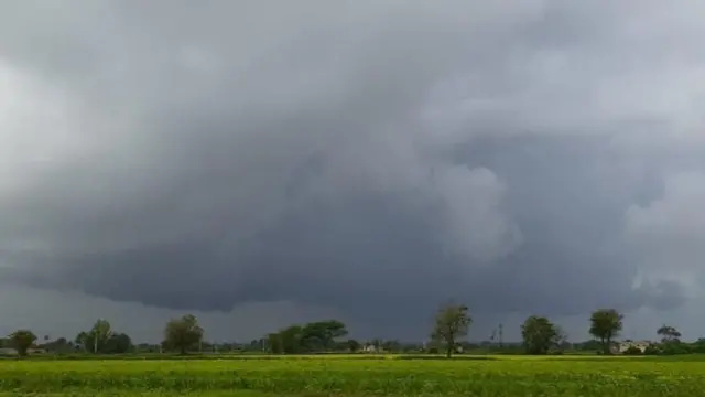 ખેતરમાં ઊભા પાકની પ્રતીકાત્મક તસવીર 