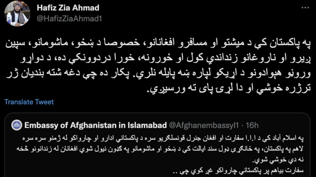 Hafiz Zia