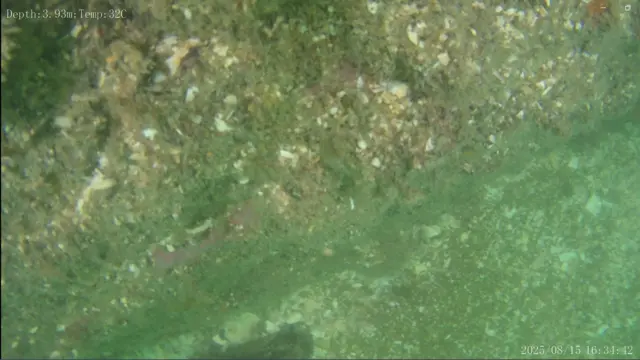 மாமல்லபுரம், மகாபலிபுரம் ஆய்வு, கடலடி ஆய்வு, தொல்லியல் ஆய்வு, இந்திய தொல்லியல் துறை 