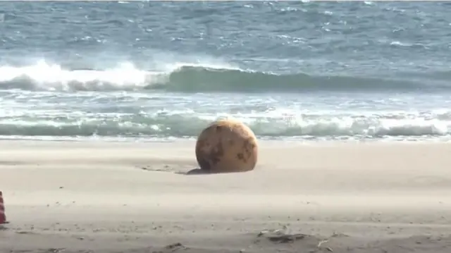 Kantor teknik sipil lokal Hamamatsu "menduga benda itu sebagai pelampung buatan asing". 