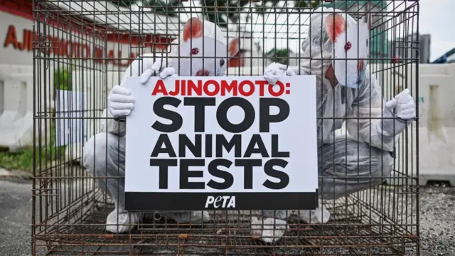 ਪ੍ਰਦਰਸ਼ਨ