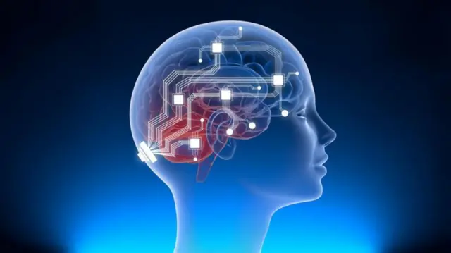 मानव मस्तिष्क