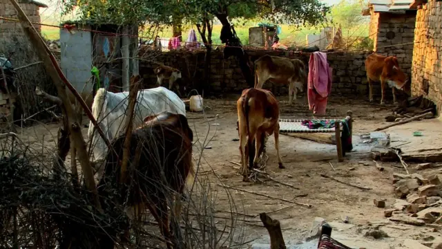 குனோ பழங்குடிகள்