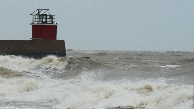 பிபர்ஜாய் புயல், இந்தியா, குஜராத்