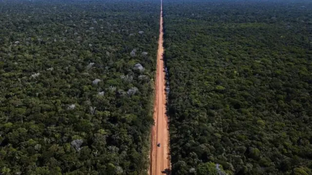 Rodovia BR-319 cruza liga Porto Velho a Manaus