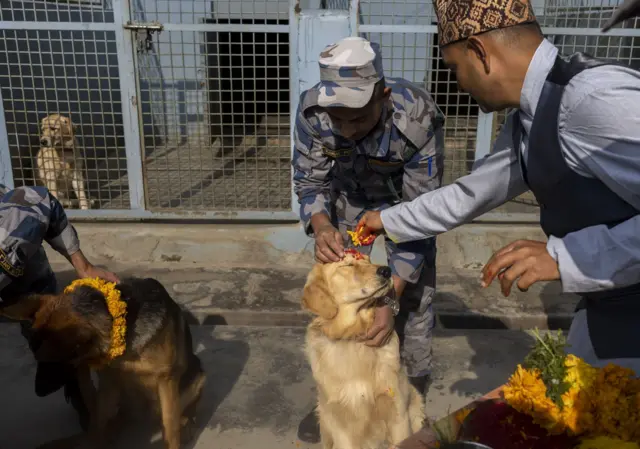 तिहारमा कुकुरको पूजा पनि गरिन्छ 