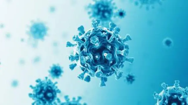 व्हेरिएंट