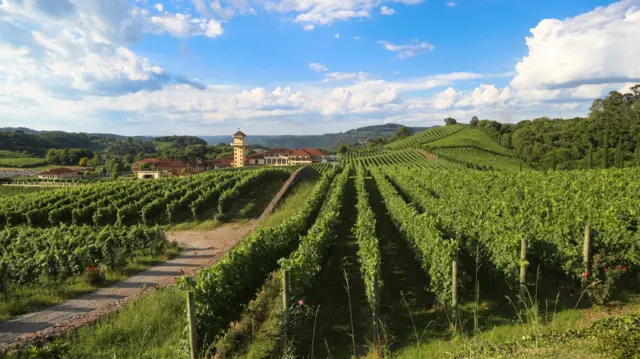 Vale dos Vinhedos, no Rio Grande do Sul