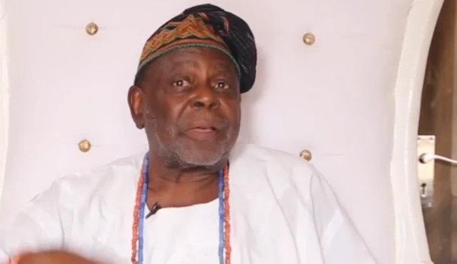 Yemi Elebuibon, Balozi na mtaalam wa mila ya Yoruba 