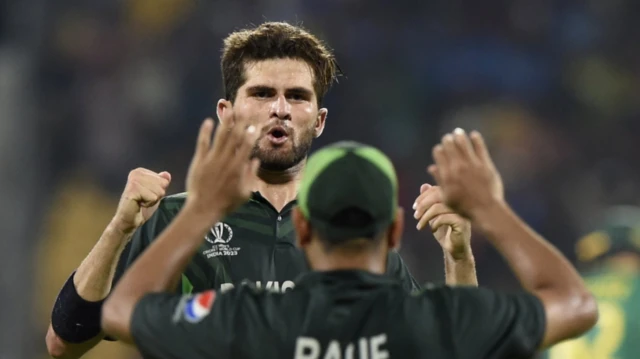 शाहीन शाह आफरीदी