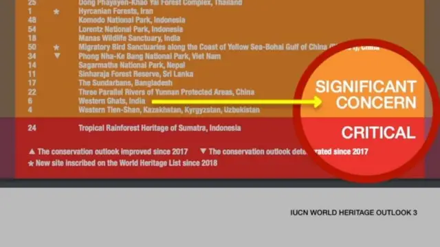 மேற்கு தொடர்ச்சி மலைத்தொடர் சந்திக்கும் அதீத பிரச்னைகள் : மனித குறுக்கீடு அறிய இனங்களை அழிவுக்கு கொண்டு செல்லுமா? 