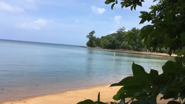 kuku