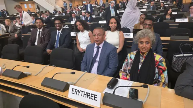 ወከልቲ መንግስቲ ኤርትራ
