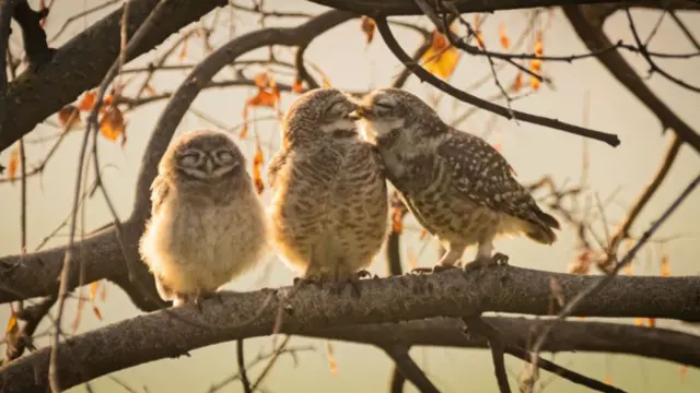 بوسه مادر و پدرم باعث خجالتم شد