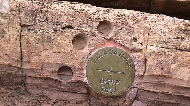 Clavo dorado del período Ediacárico (Foto: Bahudhara/Wikipedia)