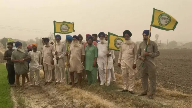 16, 000 விவசாயிகளின் தற்கொலைக்கு காரணம் பசுமை புரட்சியா?