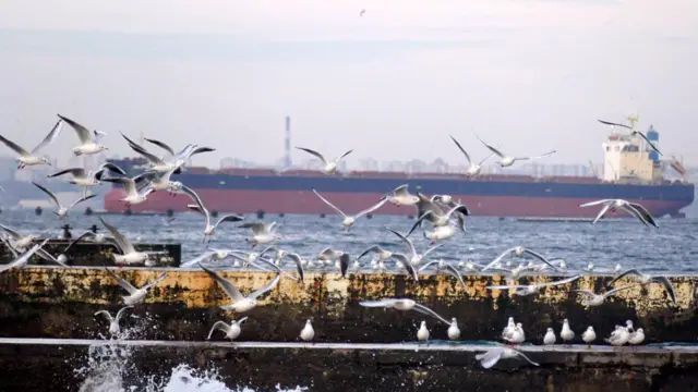 Судно в Одеському порту