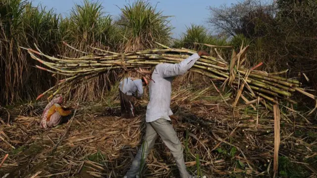 కరోనావైరస్:లాక్ డౌన్ కారణంగా రైతులకు తప్పని కష్టాలు