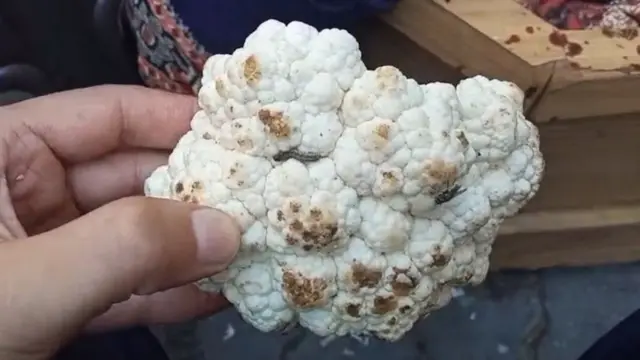 칼리드와 그의 가족은 음식에서 곰팡이와 곤충을 골라내고 먹고 있다