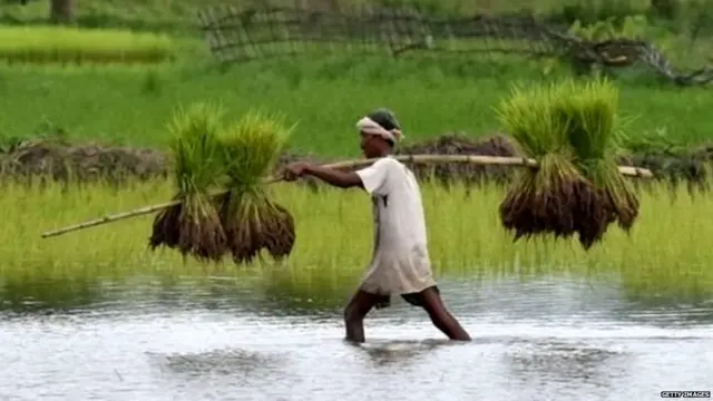 ਕਿਸਾਨ, ਖੇਤੀ ਸੰਕਟ, ਮੋਦੀ ਸਰਕਾਰ