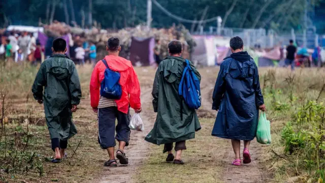 Macaristan-Sırbistan sınırı