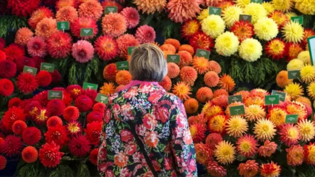 زائرة في معرض هاروغيت لزهور الخريف عام 2016