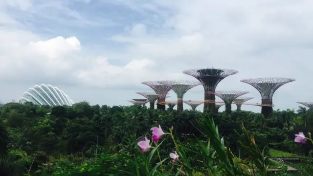 Panorama Singapura, jul 2017.