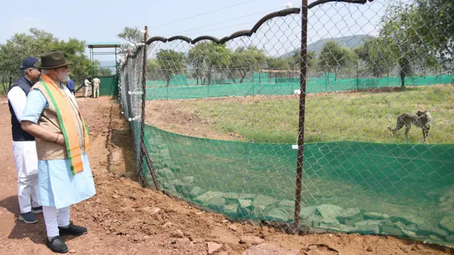 కూనో అభయారణ్యంలో మోదీ