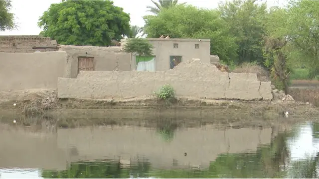 جنوبی پنجاب سیلاب