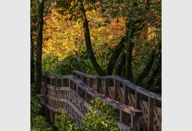Autumn Evening at Aberglasney - by Nigel McCall