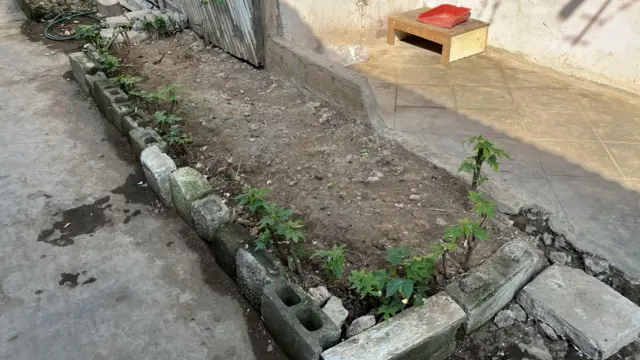 Salah satu pot persegi milik warga yang digunakan untuk menanam bumbu.