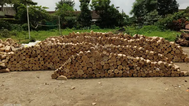 ચંદન ચોર