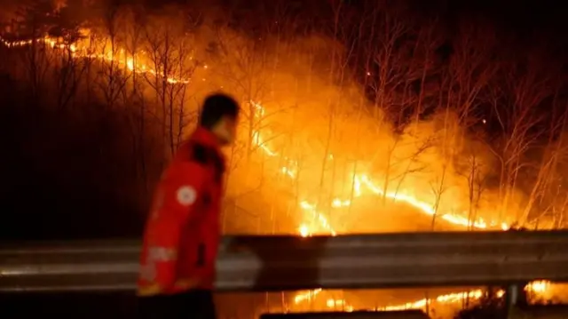 این آتش‌سوزی ده‌ها هزار نفر را ناچار به ترک خانه و شهرها کرده است