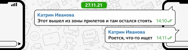 27/11/21 Катрин Иванова: Этот вышел из зоны прилетов и там остался стоять (2:10 PM) Катрин Иванова: Роется, что-то ищет (2:11 PM)