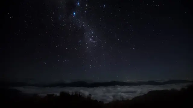 Céu estreladosite apostas blazemeio à selva