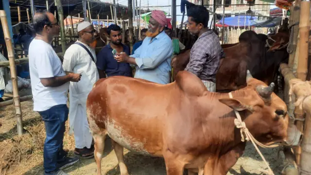 কোরবানির পশুর হাট 