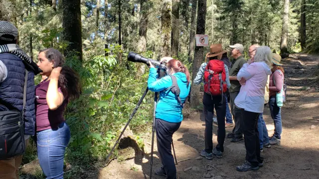 Turistas mariposa monarca