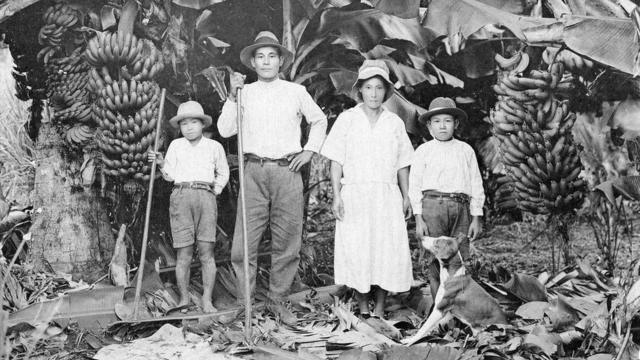 Família com quatro membros de ascendência japonesa posam com ferramentas agrícolas em meio a bananeiras e outras árvores