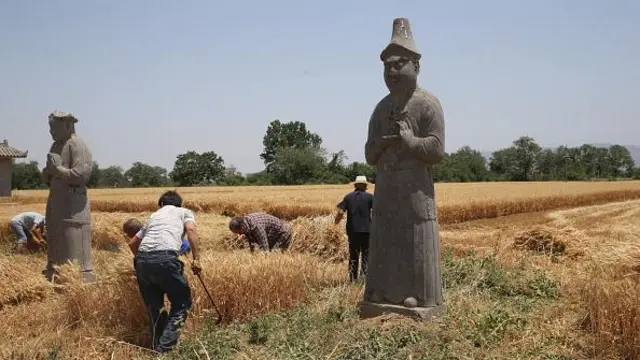 Agricultores chineses colhem trigo pertoaposte e ganhe betmausoléu da dinastia Song