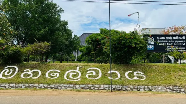 මෙරට ලුණු අවශ්‍යතාවයෙන් සියයට 60ක වෙළෙඳපොළ අවශ්‍යතාවය සපුරනු ලබන්නේ හම්බන්තොට දිස්ත්‍රික්කයේ පිහිටා ඇති ලේවාය තුනෙන් බව ලංකා සෝල්ට් සමාගමේ සභාපතිවරයා පැවසුවේය.

