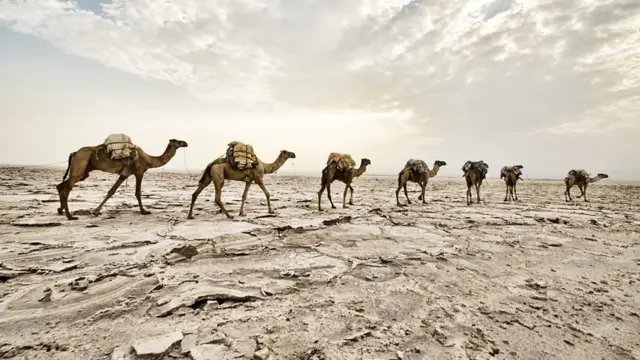 مانسا موسی مسلمانی معتقد بود و با سفر به مکه و شرکت در حج، یکی از اصول دین را به اجرا در می‌آورد.