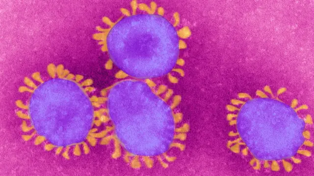 Коронавірус