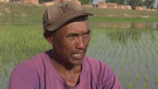 జోన్ డిజరీ