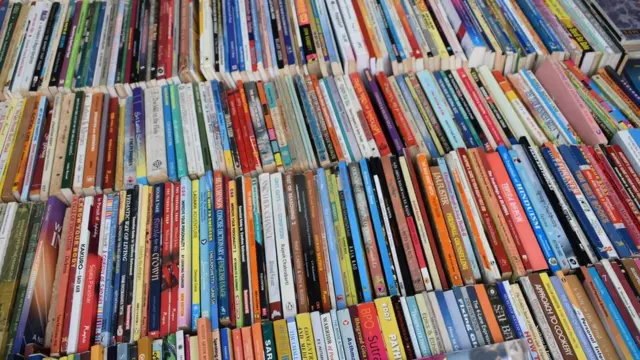 పుస్తకాలు, బుక్ ఫెస్టివల్