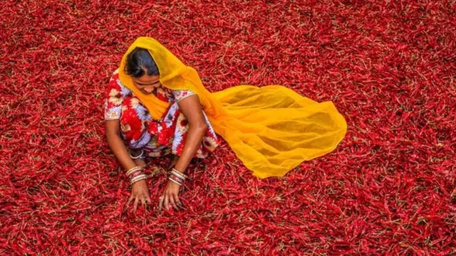 تدعو شيفا إلى إنشاء أنظمة غذائية محلية ومتنوعة بيولوجيا وخالية من المواد الكيميائية