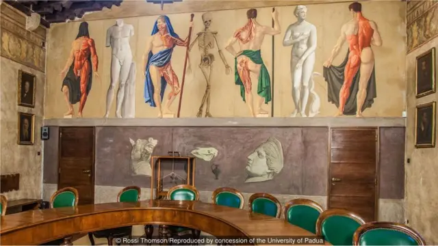 Universidadesportingbet ufcPádua