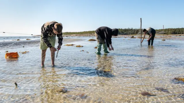 Pescadores