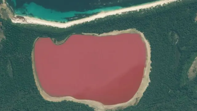 ቀላይ ሂሊየር